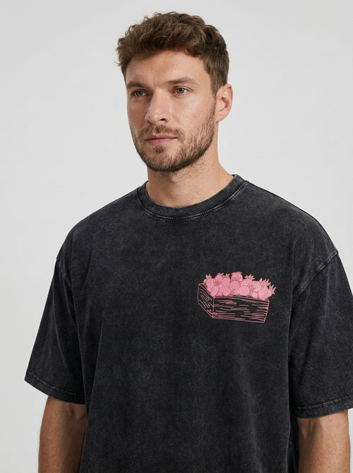 Camiseta Fruit of the Spirit
